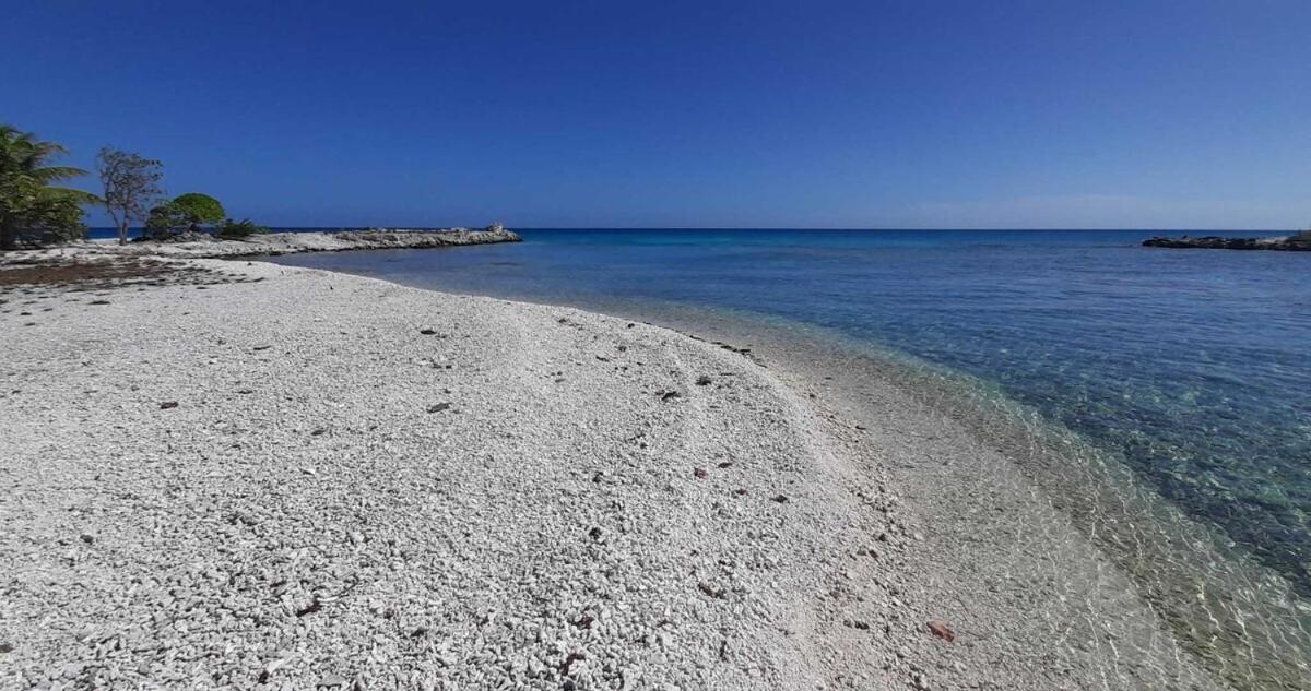 Moana Breeze Rangiroa - Rental Car Included - Air Conditioning - Wi-Fi Tiputa Zimmer foto