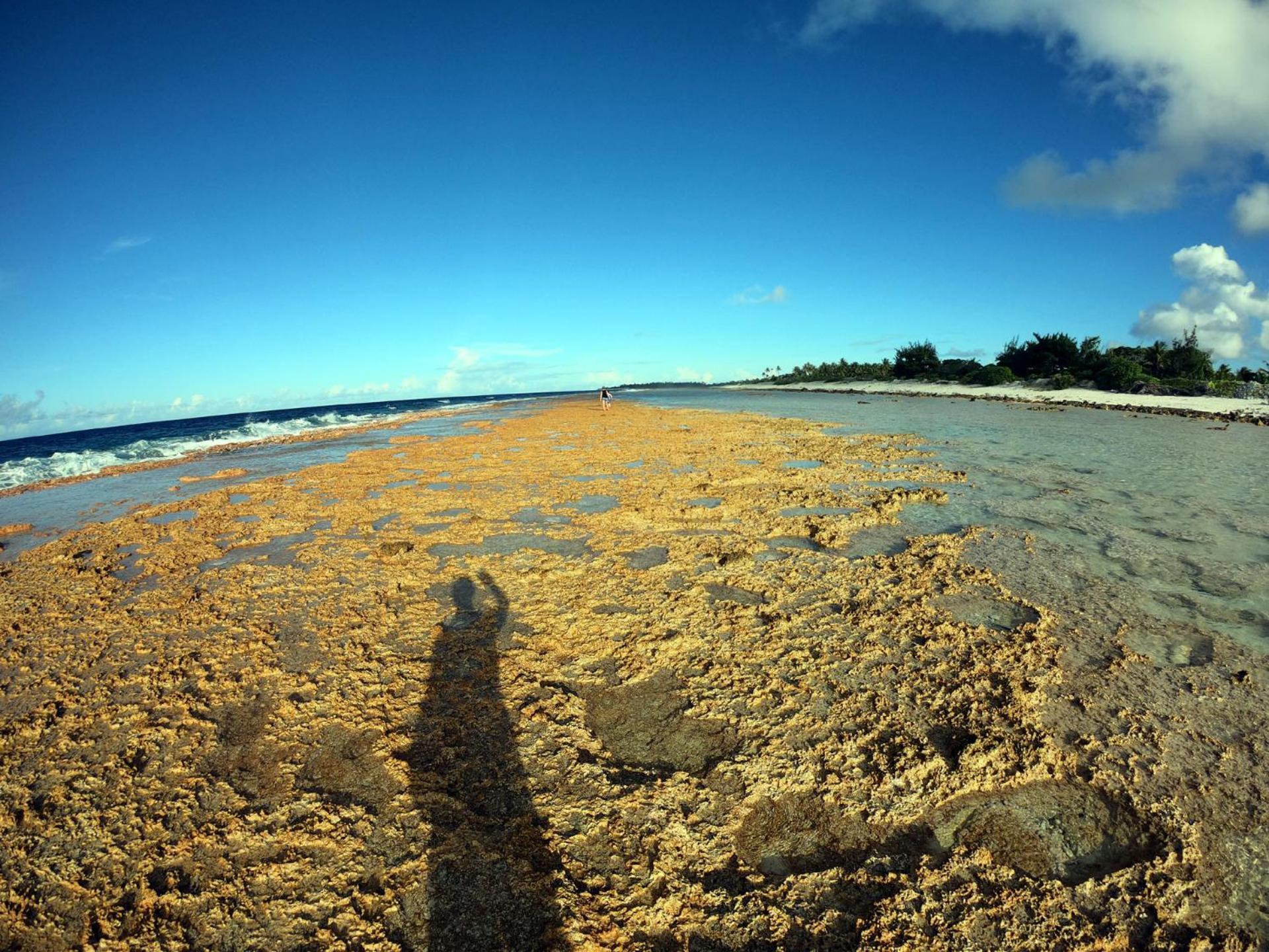 Moana Breeze Rangiroa - Rental Car Included - Air Conditioning - Wi-Fi Tiputa Exterior foto